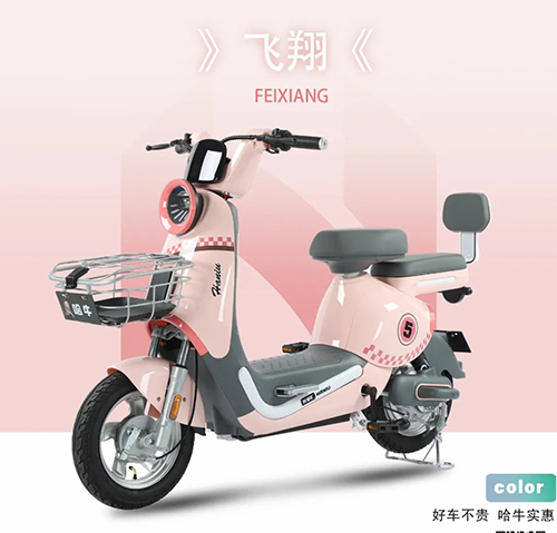 HANIU-