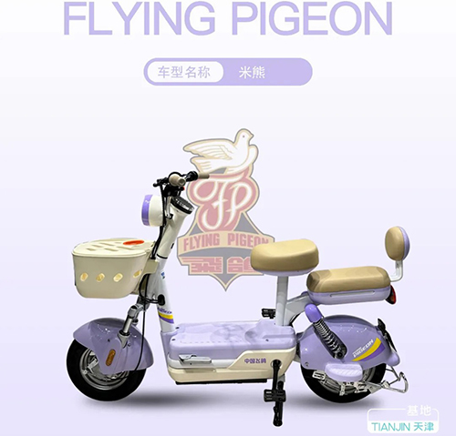FLYING PIGEON-����