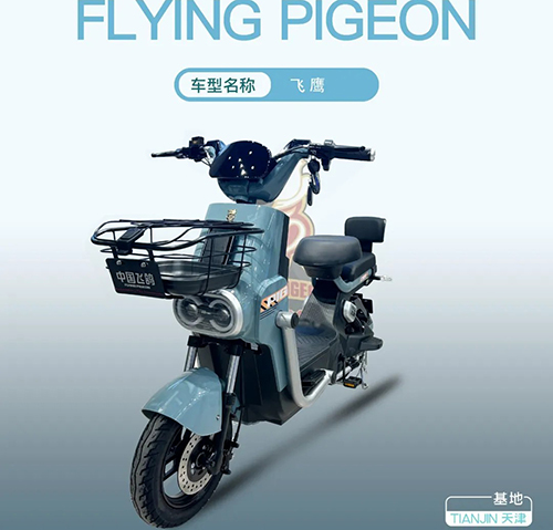 FLYING PIGEON-��ӥ