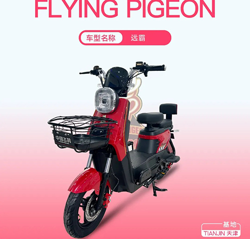 FLYING PIGEON-Զ��