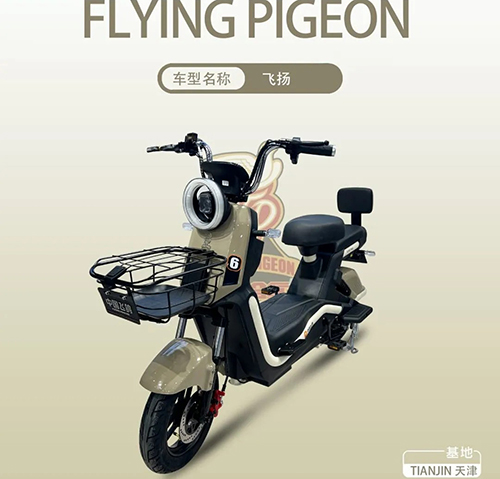 FLYING PIGEON-����