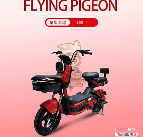 FLYING PIGEON-�ɿ�