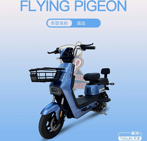 FLYING PIGEON-Զ��